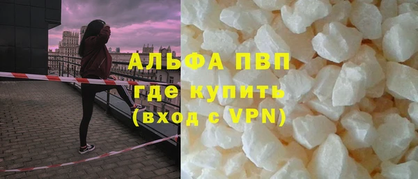 молекула духа Ладушкин
