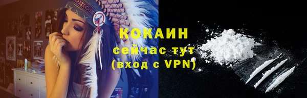 молекула духа Ладушкин