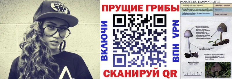 купить   даркнет Telegram  Галлюциногенные грибы мицелий  Карабаново 